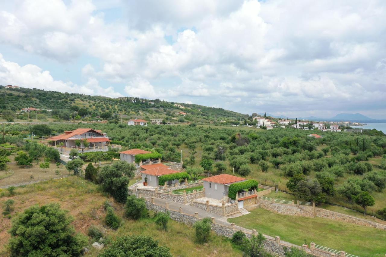 Alexandros Seaside Family Apartments & Villas - Paradise, 7' From Petalidi Kalamaki  Eksteriør billede