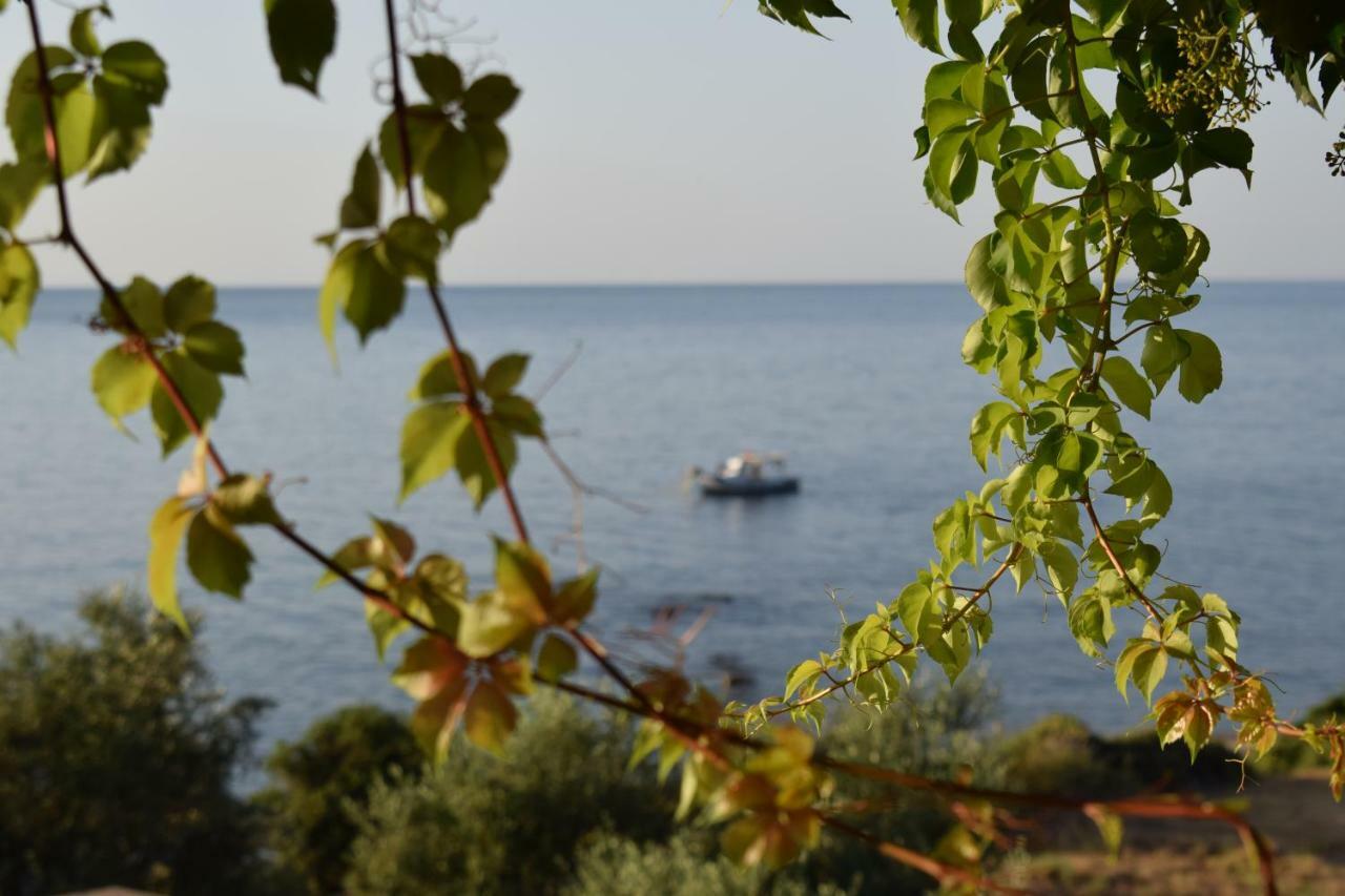 Alexandros Seaside Family Apartments & Villas - Paradise, 7' From Petalidi Kalamaki  Eksteriør billede